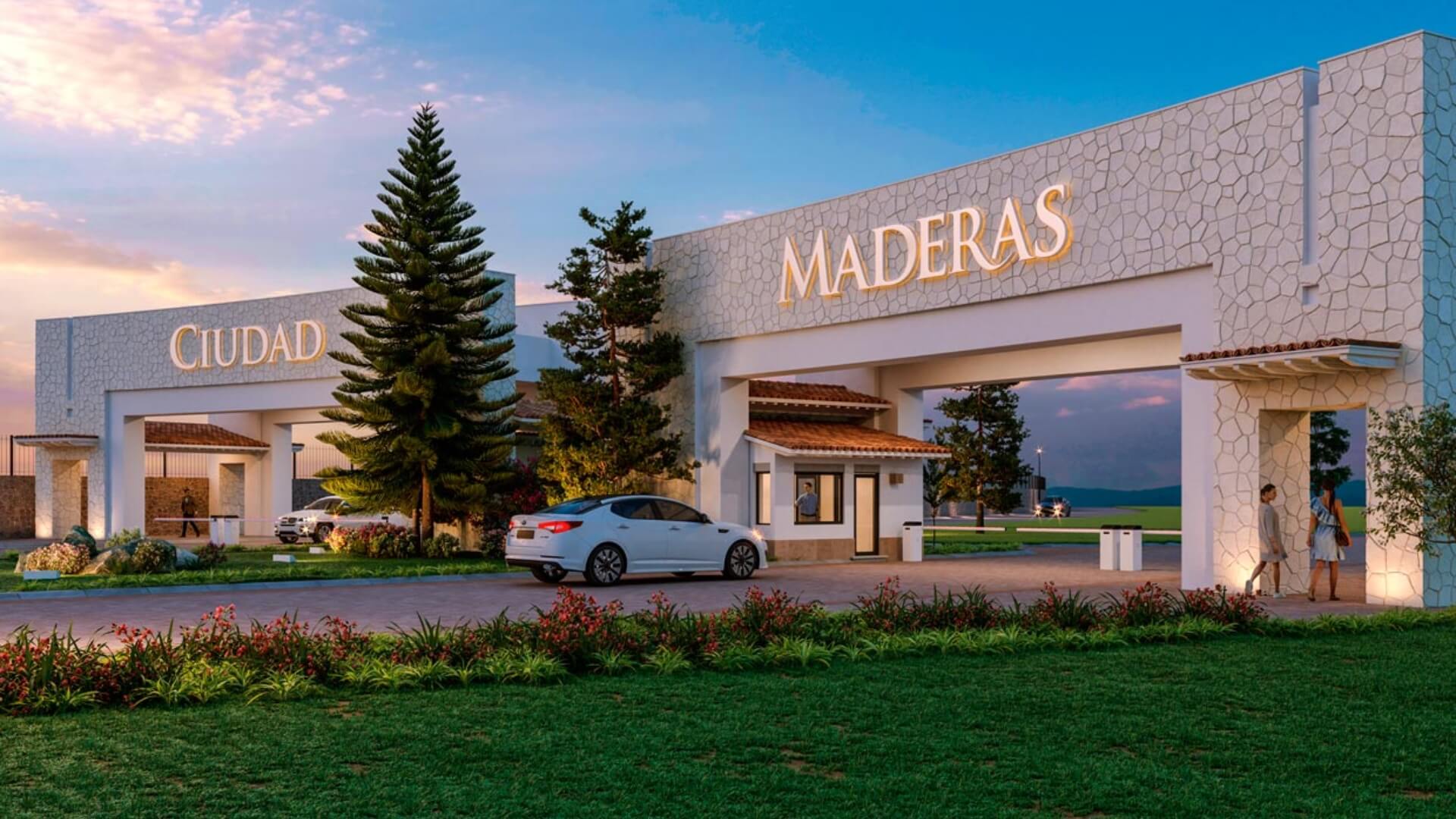 Miniatura 11